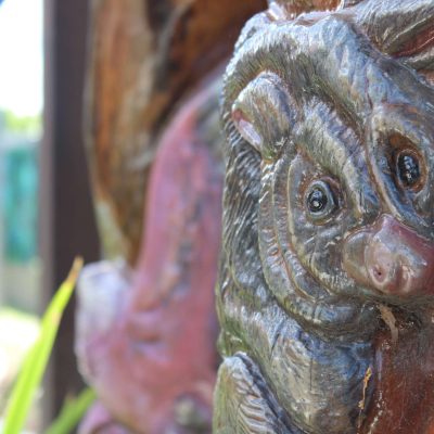 Kidz-Magic-early-learning-heathwood Kidz-Magic-early-learning-heathwood